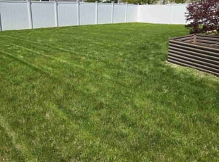 Cortney S.'s lawn service service result