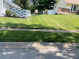 Vivian J.'s grass maintenance service result