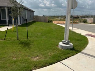 Jeff A.'s grass cutting service result