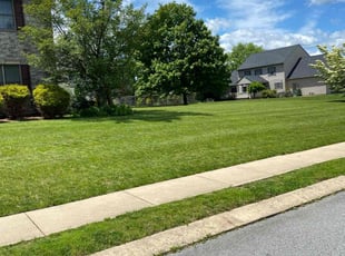 Ryan W.'s grass cutting service result