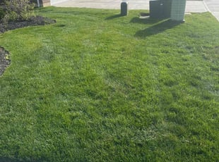 Richard G.'s turf care service result