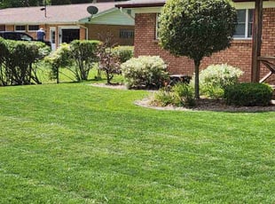 Kerryann L.'s lawn care service result