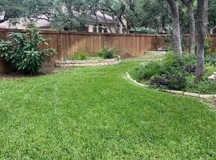 Amber H.'s grass cutting service result