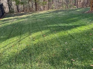 Kunal P.'s grass cutting service result