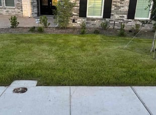 Marianna O.'s grass maintenance service result