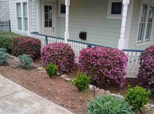Carina G.'s Flower Bed Weeding service result