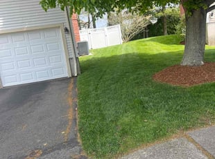 Jay T.'s grass cutting service result