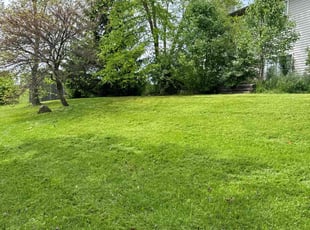 Robert B.'s grass cutting service result