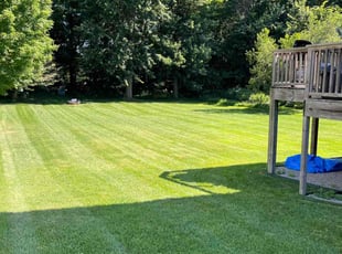 Craig W.'s lawn maintenance service result