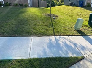 Raul A.'s lawn care service result