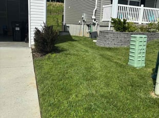 Bodie P.'s Bush Trimming service result