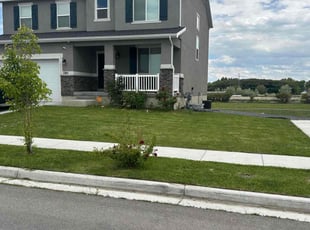 Tui S.'s lawn care service result