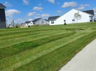 Karissa J.'s lawn service service result