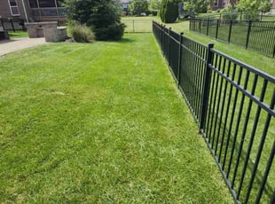 Tbone T.'s lawn maintenance service result