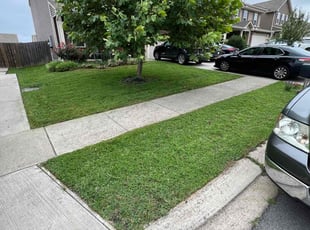 Robin D.'s grass maintenance service result