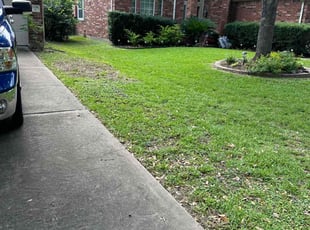 Undefined S.'s landscaping service result