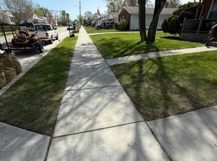 Anita P.'s turf care service result