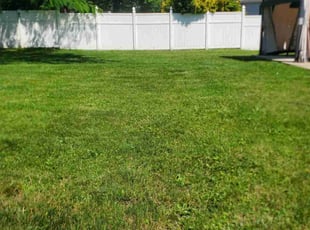 Yvonna F.'s lawn care service result