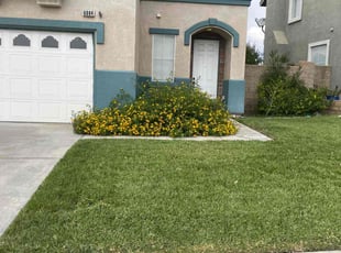 Robin-Jo R.'s lawn care service result