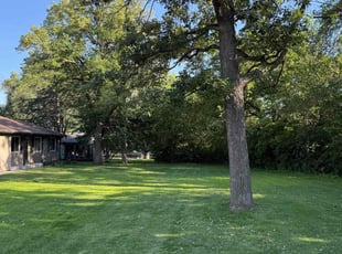 Joseph R.'s lawn service service result
