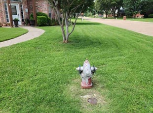 Clarence T.'s grass maintenance service result
