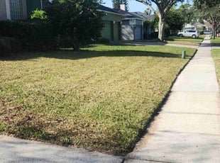 Nicole M.'s turf care service result