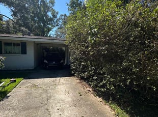 Samantha J.'s turf care service result