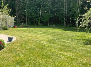 Valencia H.'s lawn service service result