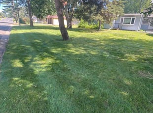 Tom T.'s lawn care service result