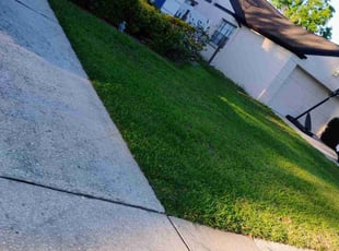 Don H.'s turf maintenance service result
