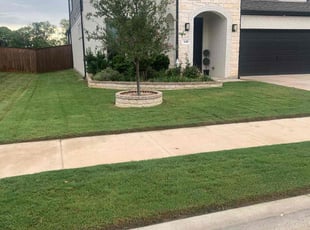 Evelyn R.'s turf care service result