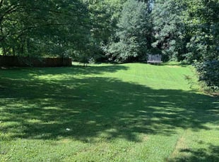 Catherine H.'s lawn care service result