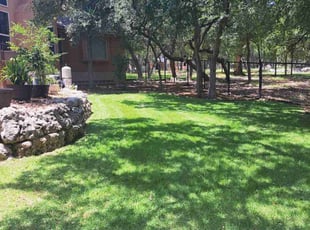 Nadia B.'s grass maintenance service result
