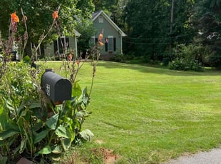 Zachary B.'s lawn maintenance service result