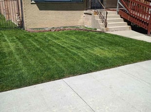 Martha K.'s turf care service result