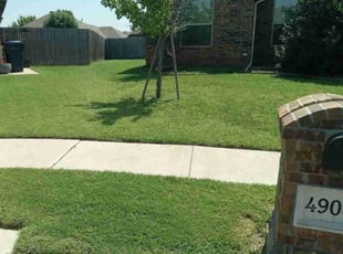 Stephanie K.'s turf maintenance service result