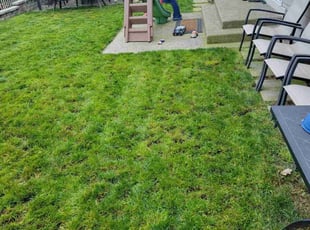 Tonya E.'s lawn care services service result