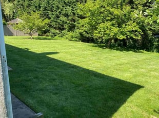 Kathleen K.'s lawn care service result