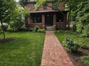 Moses A.'s turf care service result