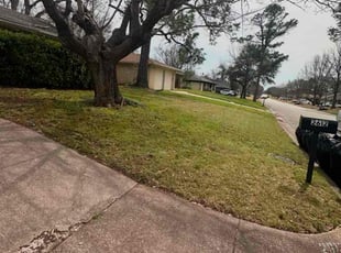 Muxuan L.'s Leaf Removal service result