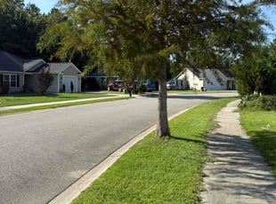 Tammie J.'s Tree Trimming service result