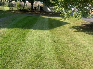 Bernice Q.'s grass cutting service result