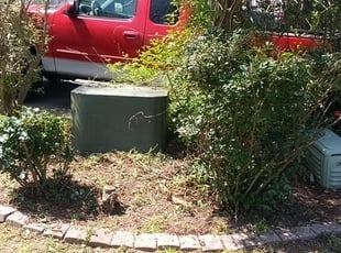 David A.'s Bush Trimming service result