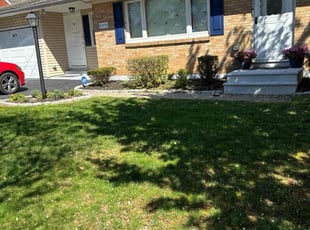 Wayne M.'s Bush Trimming service result