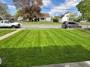 Mike R.'s turf maintenance service result