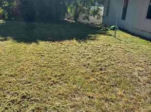 Jennifer S.'s turf maintenance service result