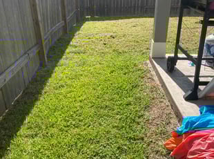Austin B.'s lawn care services service result