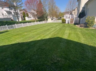 Janet E.'s grass cutting service result