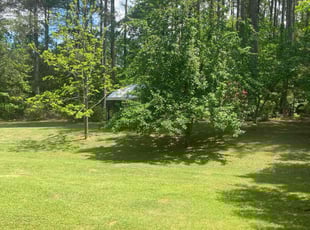 Kim D.'s grass maintenance service result