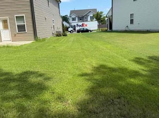 Allison K.'s lawn service service result